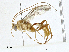  ( - BIOUG95283-D03)  @11 [ ] CreativeCommons - Attribution (2023) CBG Photography Group Centre for Biodiversity Genomics