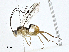  ( - BIOUG95283-D05)  @11 [ ] CreativeCommons - Attribution (2023) CBG Photography Group Centre for Biodiversity Genomics