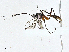  ( - BIOUG95283-E03)  @11 [ ] CreativeCommons - Attribution (2023) CBG Photography Group Centre for Biodiversity Genomics
