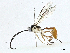  ( - BIOUG95283-F07)  @11 [ ] CreativeCommons - Attribution (2023) CBG Photography Group Centre for Biodiversity Genomics