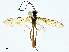  ( - BIOUG95327-D06)  @11 [ ] CreativeCommons - Attribution (2023) CBG Photography Group Centre for Biodiversity Genomics