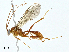  ( - BIOUG95327-D08)  @11 [ ] CreativeCommons - Attribution (2023) CBG Photography Group Centre for Biodiversity Genomics