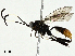  ( - BIOUG95327-E01)  @11 [ ] CreativeCommons - Attribution (2023) CBG Photography Group Centre for Biodiversity Genomics