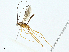  ( - BIOUG95327-E11)  @11 [ ] CreativeCommons - Attribution (2023) CBG Photography Group Centre for Biodiversity Genomics