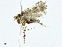  ( - BIOUG95327-F04)  @11 [ ] CreativeCommons - Attribution (2023) CBG Photography Group Centre for Biodiversity Genomics
