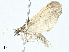  ( - BIOUG95327-F08)  @11 [ ] CreativeCommons - Attribution (2023) CBG Photography Group Centre for Biodiversity Genomics