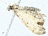  ( - BIOUG95327-F11)  @11 [ ] CreativeCommons - Attribution (2023) CBG Photography Group Centre for Biodiversity Genomics