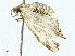  ( - BIOUG95328-A07)  @11 [ ] CreativeCommons - Attribution (2023) CBG Photography Group Centre for Biodiversity Genomics