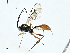  ( - BIOUG95328-E09)  @11 [ ] CreativeCommons - Attribution (2023) CBG Photography Group Centre for Biodiversity Genomics