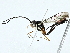  ( - BIOUG95357-B09)  @11 [ ] CreativeCommons - Attribution (2022) CBG Photography Group Centre for Biodiversity Genomics