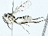  (ichJanzen01 Janzen1869 - BIOUG95357-B10)  @11 [ ] CreativeCommons - Attribution (2022) CBG Photography Group Centre for Biodiversity Genomics