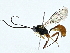  ( - BIOUG95357-C08)  @11 [ ] CreativeCommons - Attribution (2022) CBG Photography Group Centre for Biodiversity Genomics