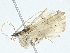  ( - BIOUG95358-D07)  @11 [ ] CreativeCommons - Attribution (2022) CBG Photography Group Centre for Biodiversity Genomics