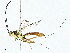  ( - BIOUG95359-E03)  @13 [ ] CreativeCommons - Attribution (2023) CBG Photography Group Centre for Biodiversity Genomics