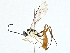 ( - BIOUG95359-E06)  @11 [ ] CreativeCommons - Attribution (2023) CBG Photography Group Centre for Biodiversity Genomics