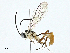  ( - BIOUG95359-E10)  @11 [ ] CreativeCommons - Attribution (2023) CBG Photography Group Centre for Biodiversity Genomics