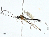  ( - BIOUG95359-F06)  @11 [ ] CreativeCommons - Attribution (2023) CBG Photography Group Centre for Biodiversity Genomics