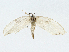  ( - BIOUG95360-C12)  @11 [ ] CreativeCommons - Attribution (2023) CBG Photography Group Centre for Biodiversity Genomics