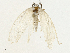  ( - BIOUG95360-D01)  @11 [ ] CreativeCommons - Attribution (2023) CBG Photography Group Centre for Biodiversity Genomics