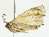  ( - BIOUG95360-H08)  @11 [ ] CreativeCommons - Attribution (2023) CBG Photography Group Centre for Biodiversity Genomics