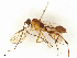  ( - BIOUG96050-F05)  @11 [ ] CreativeCommons - Attribution Share - Alike (2025) CBG Photography Group Centre for Biodiversity Genomics