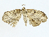  ( - BIOUG98661-A06)  @11 [ ] CreativeCommons - Attribution (2023) CBG Photography Group Centre for Biodiversity Genomics