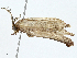  ( - BIOUG98661-A08)  @11 [ ] CreativeCommons - Attribution (2023) CBG Photography Group Centre for Biodiversity Genomics