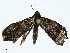  ( - BIOUG98661-B07)  @11 [ ] CreativeCommons - Attribution (2023) CBG Photography Group Centre for Biodiversity Genomics