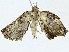  ( - BIOUG98661-B11)  @11 [ ] CreativeCommons - Attribution (2023) CBG Photography Group Centre for Biodiversity Genomics