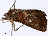  ( - BIOUG98662-A10)  @11 [ ] CreativeCommons - Attribution Non-Commercial Share-Alike (2023) CBG Photography Group Centre for Biodiversity Genomics