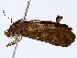  ( - BIOUG98662-A11)  @11 [ ] CreativeCommons - Attribution Non-Commercial Share-Alike (2023) CBG Photography Group Centre for Biodiversity Genomics