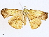  ( - BIOUG98662-B05)  @11 [ ] CreativeCommons - Attribution Non-Commercial Share-Alike (2023) CBG Photography Group Centre for Biodiversity Genomics