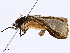  ( - BIOUG98662-B08)  @11 [ ] CreativeCommons - Attribution Non-Commercial Share-Alike (2023) CBG Photography Group Centre for Biodiversity Genomics