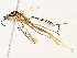  ( - BIOUG98662-E02)  @11 [ ] CreativeCommons - Attribution Non-Commercial Share-Alike (2023) CBG Photography Group Centre for Biodiversity Genomics