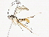  ( - BIOUG98662-E04)  @11 [ ] CreativeCommons - Attribution Non-Commercial Share-Alike (2023) CBG Photography Group Centre for Biodiversity Genomics