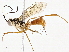  ( - BIOUG98662-E06)  @11 [ ] CreativeCommons - Attribution Non-Commercial Share-Alike (2023) CBG Photography Group Centre for Biodiversity Genomics