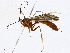  ( - BIOUG98663-B06)  @14 [ ] CreativeCommons - Attribution (2023) CBG Photography Group Centre for Biodiversity Genomics