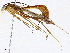  ( - BIOUG98663-B07)  @13 [ ] CreativeCommons - Attribution (2023) CBG Photography Group Centre for Biodiversity Genomics