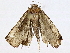  ( - BIOUG98663-G02)  @11 [ ] CreativeCommons - Attribution (2023) CBG Photography Group Centre for Biodiversity Genomics