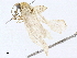  ( - BIOUG98663-G07)  @11 [ ] CreativeCommons - Attribution (2023) CBG Photography Group Centre for Biodiversity Genomics