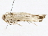  ( - BIOUG98665-B07)  @11 [ ] CreativeCommons - Attribution (2023) CBG Photography Group Centre for Biodiversity Genomics