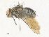  ( - CBG-A36854-B01)  @11 [ ] CreativeCommons - Attribution Share - Alike (2024) CBG Photography Group Centre for Biodiversity Genomics