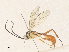 ( - CBG-A36854-H05)  @11 [ ] CreativeCommons - Attribution Share - Alike (2024) CBG Photography Group Centre for Biodiversity Genomics