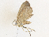  ( - CBG-A36861-D06)  @11 [ ] CreativeCommons - Attribution Share - Alike (2024) CBG Photography Group Centre for Biodiversity Genomics