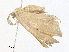  ( - CBG-A36861-G01)  @11 [ ] CreativeCommons - Attribution Share - Alike (2024) CBG Photography Group Centre for Biodiversity Genomics
