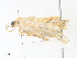 ( - CBG-A36863-C11)  @11 [ ] CreativeCommons - Attribution Share - Alike (2024) CBG Photography Group Centre for Biodiversity Genomics