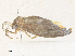  ( - CBG-A36863-D02)  @11 [ ] CreativeCommons - Attribution Share - Alike (2024) CBG Photography Group Centre for Biodiversity Genomics