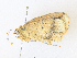  ( - CBG-A38545-E10)  @11 [ ] CreativeCommons - Attribution Share - Alike (2024) CBG Photography Group Centre for Biodiversity Genomics