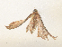  ( - CBG-A38546-G06)  @11 [ ] CreativeCommons - Attribution Share - Alike (2024) CBG Photography Group Centre for Biodiversity Genomics