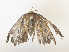  ( - CBG-A38546-G10)  @11 [ ] CreativeCommons - Attribution Share - Alike (2024) CBG Photography Group Centre for Biodiversity Genomics